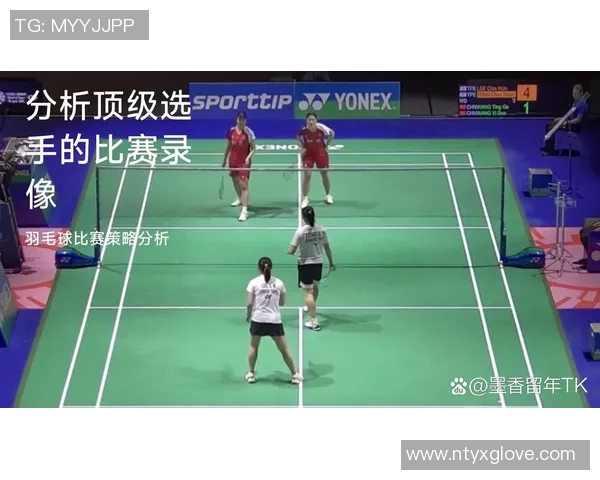 杭州羽毛球队个人能力分析与提升策略探讨